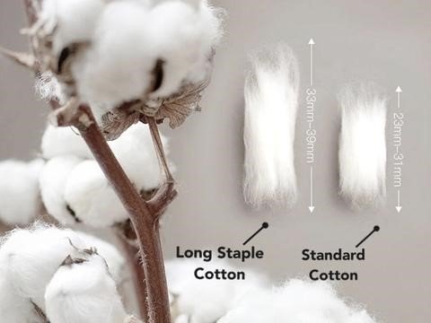 Variants in Cotton